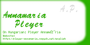 annamaria pleyer business card